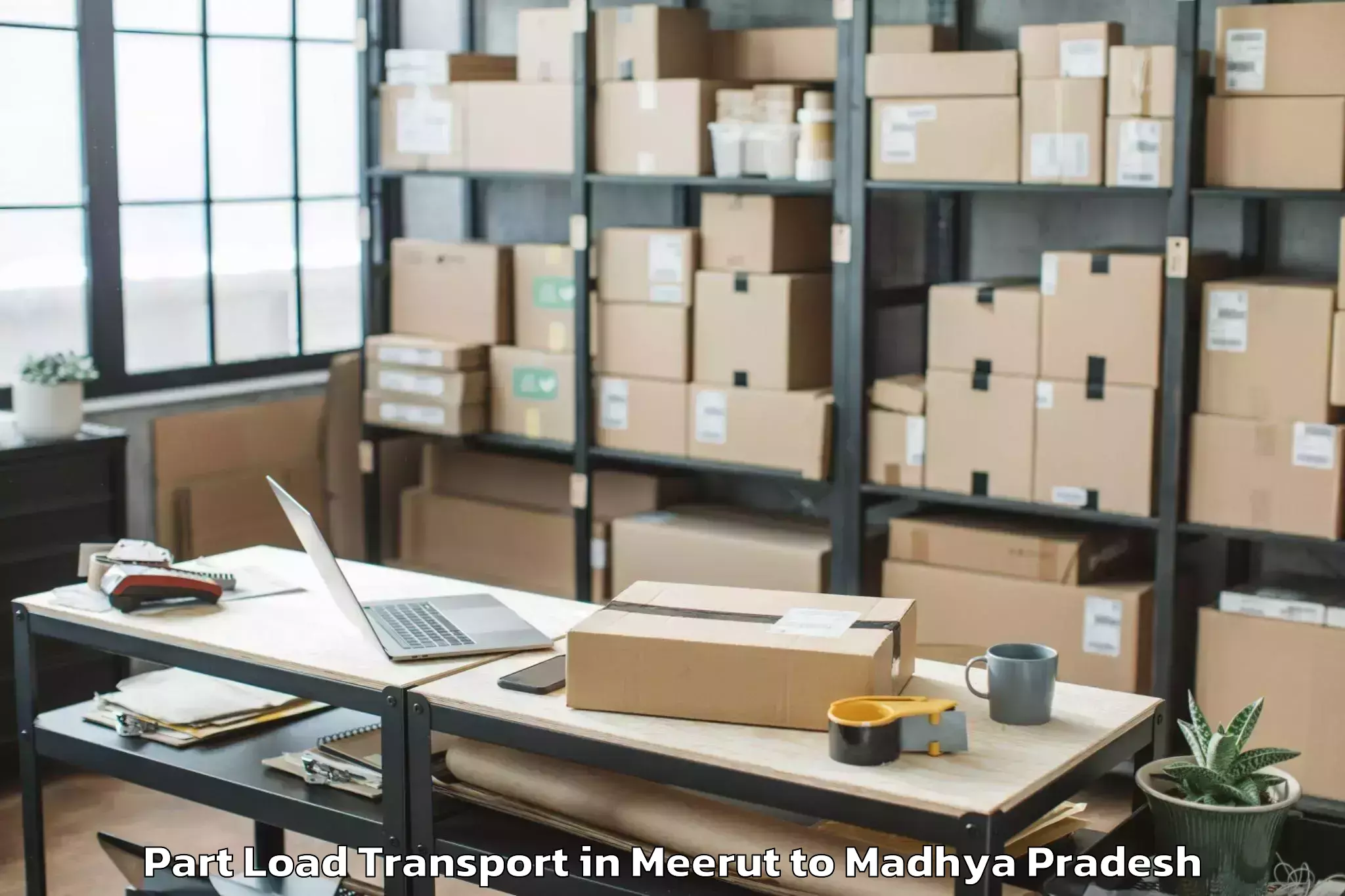 Quality Meerut to Damoh Part Load Transport